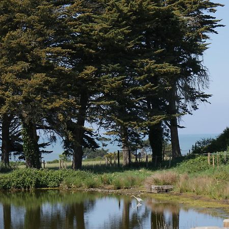 Eco-Domaine La Fontaine - Hotel-Spa 波尔尼克 外观 照片