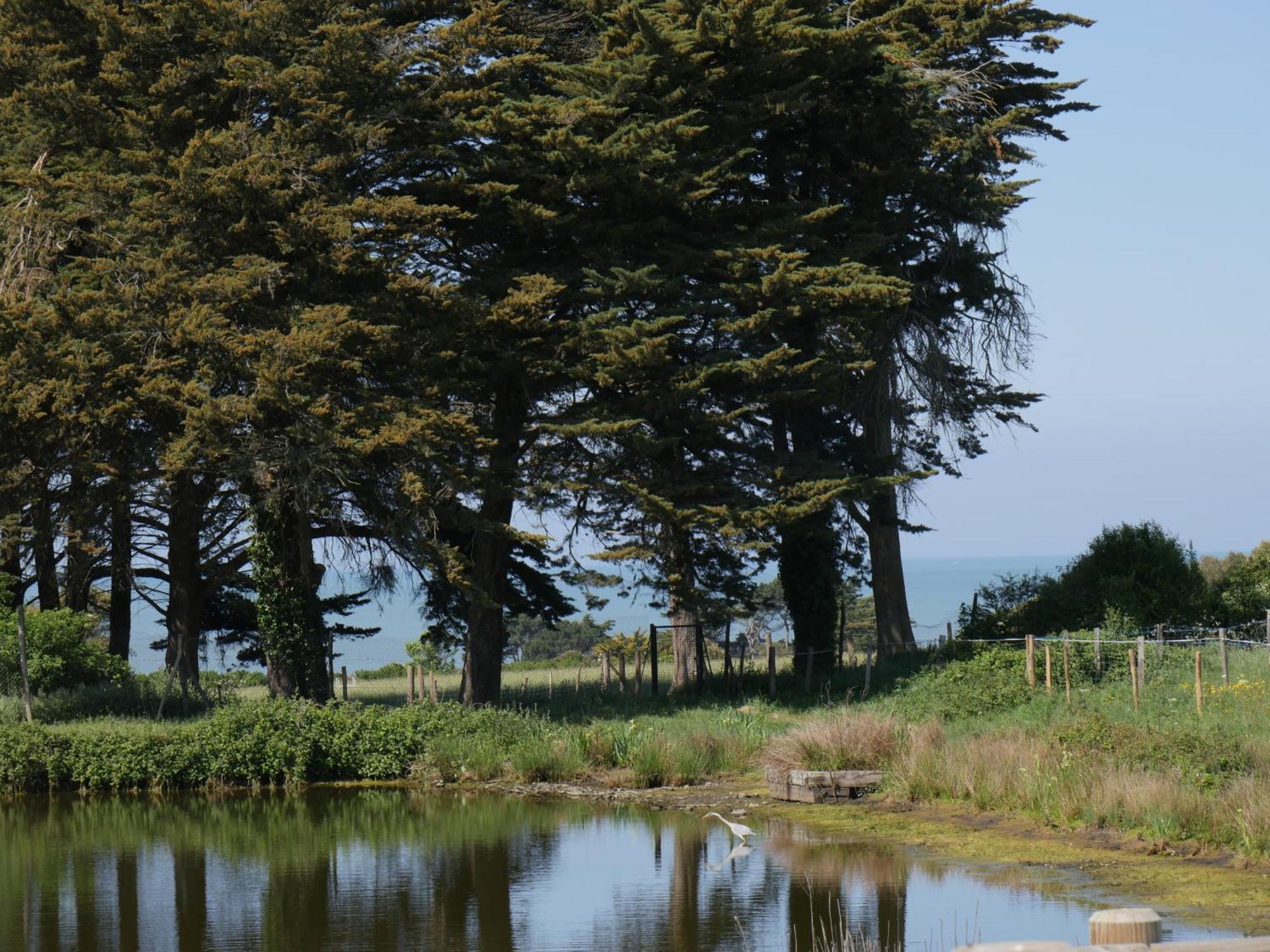 Eco-Domaine La Fontaine - Hotel-Spa 波尔尼克 外观 照片