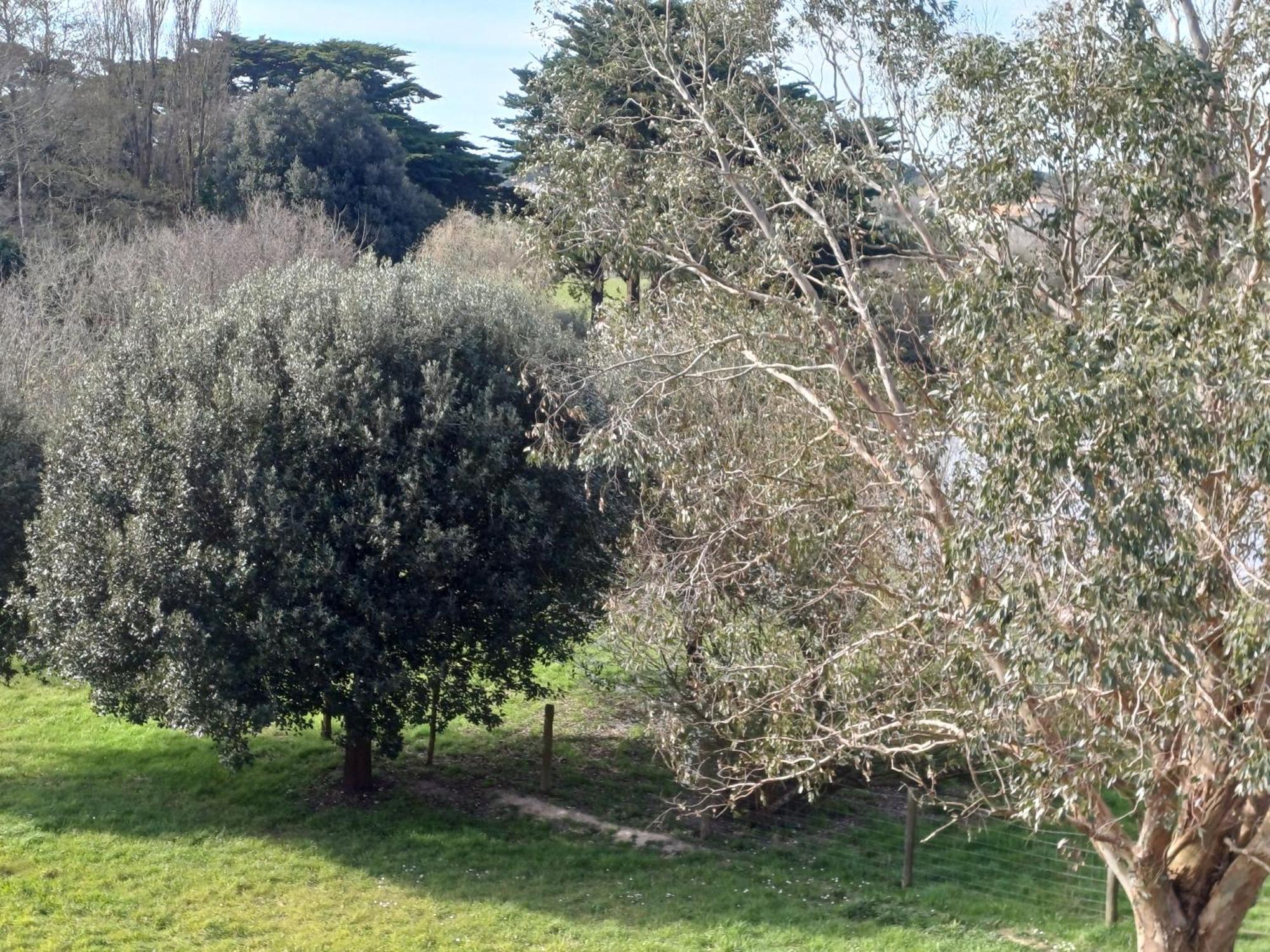 Eco-Domaine La Fontaine - Hotel-Spa 波尔尼克 外观 照片